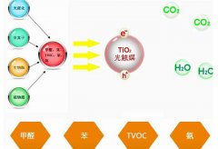 佛山室內(nèi)甲醛治理公司清除甲醛多少錢(qián)？