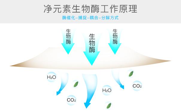 光觸媒、生物酶、空氣凈化器，哪家除甲醛公司效果好？